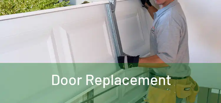  Door Replacement 