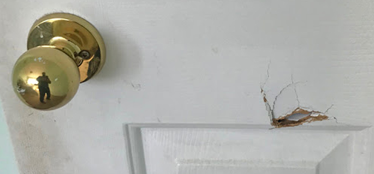interior door hole repair West Carson